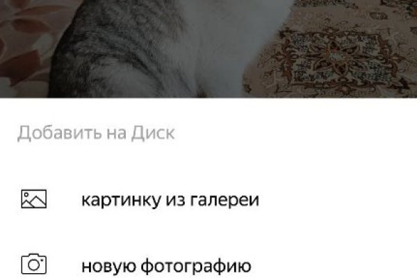 Kraken darknet kraken darknet 2n com