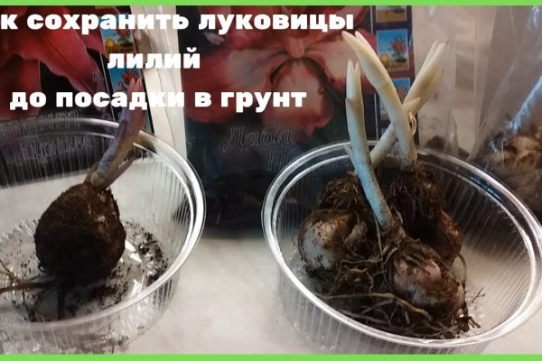 Как попасть на сайт кракен