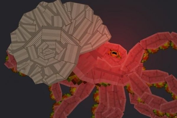 Ссылка на kraken at