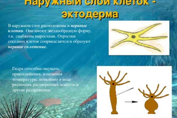 Kraken tor зеркало