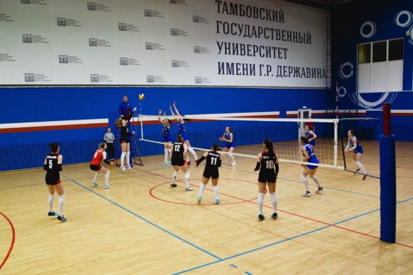 Кракен дарк оригинал ссылка