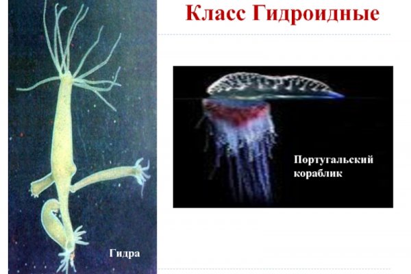 Кракен даркнет стор