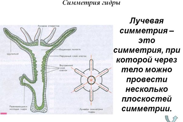 Кракен даркнет рабочая ссылка
