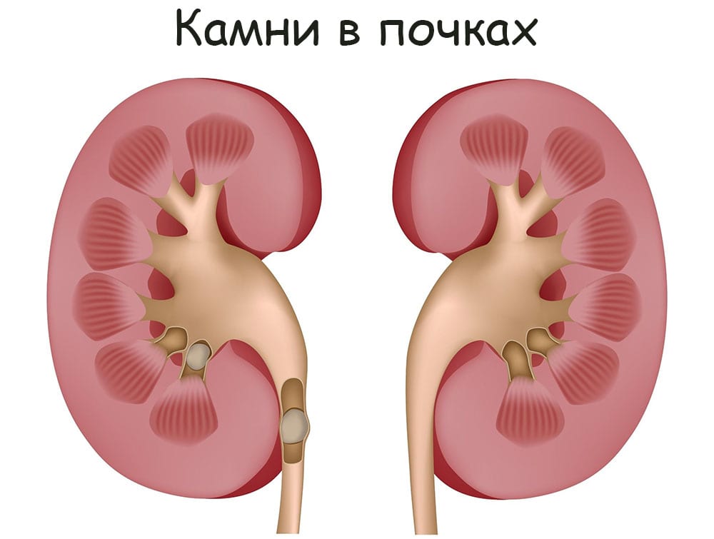 Кракен маркетплейс тор
